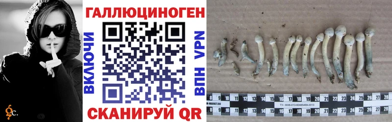 ссылка на мегу зеркало  сколько стоит  Александровск-Сахалинский  Галлюциногенные грибы Magic Shrooms 